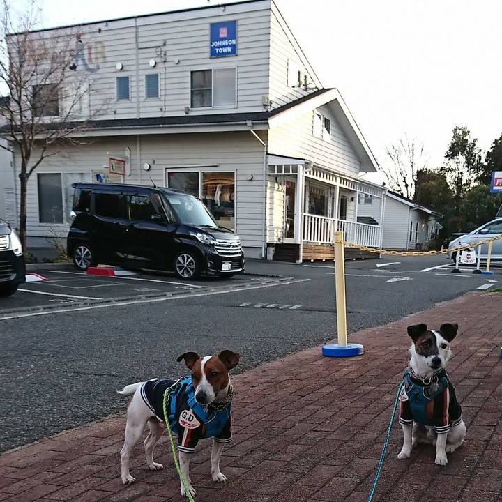 Fce3c87c 8f7a 4d9b 85eb 97e4f1349222 1581156728095