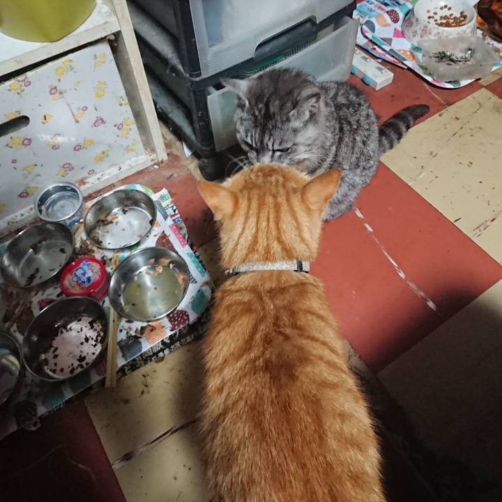 Fce3d554 1d73 4eba a984 22cc0bd9f312 1593202633169