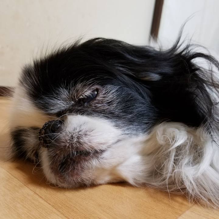 Fce3ff7e eae9 45a7 bd75 2c778693d1b8 1553084058820