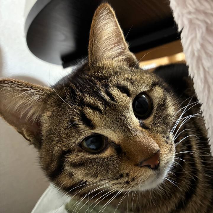 Fce403e6 6c6f 40c4 9672 40096ac7ed3c 1770551884823