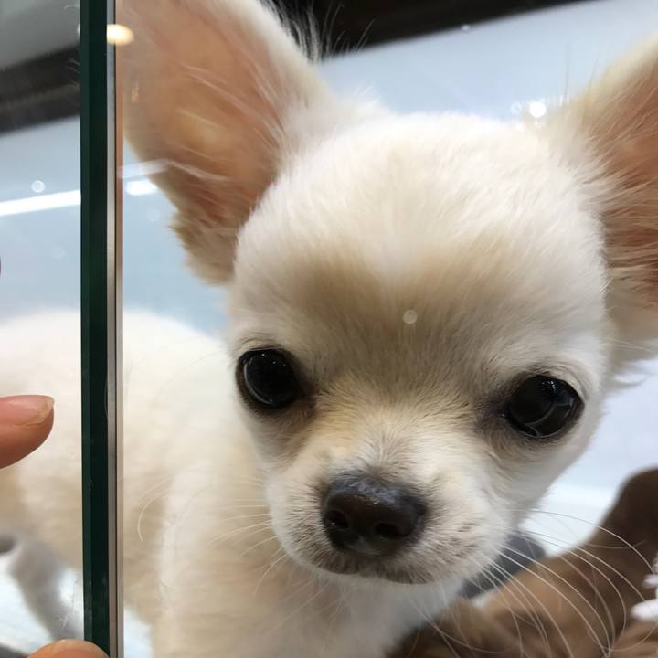 Fce403e7 4455 4746 b11e 4ac9b54624ef 1575199000173