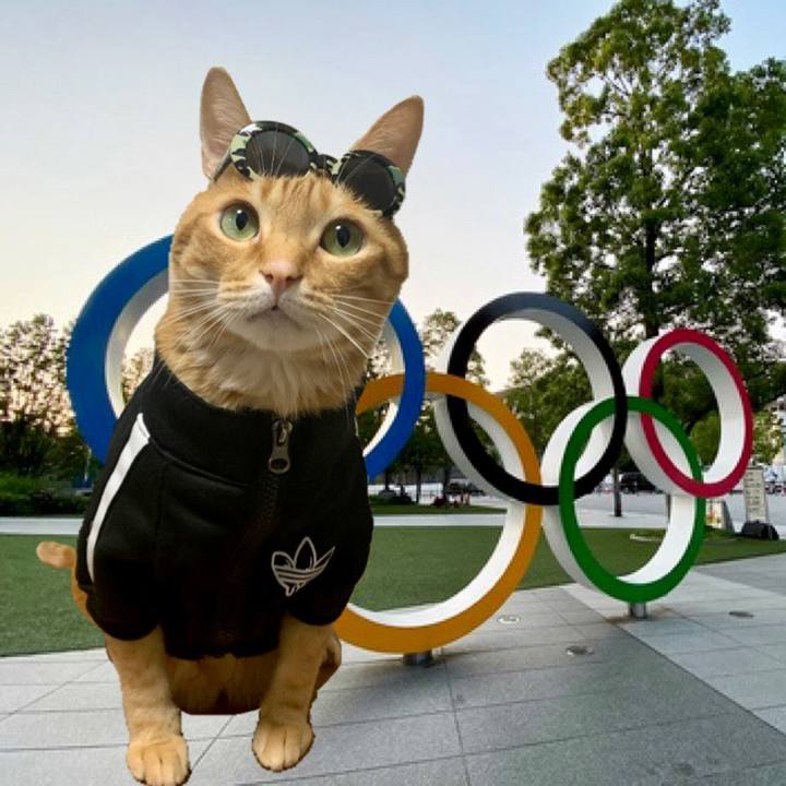 Fce40982 e352 47dd a87a f873d5beeaf0 1627035122083