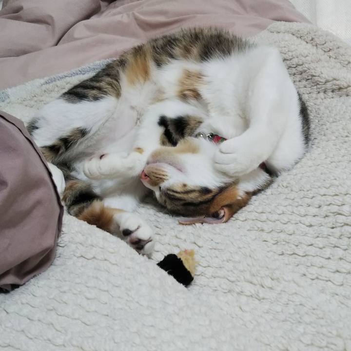 Fce448eb 8873 4a58 bdc4 12d69aaac811 1644195368871