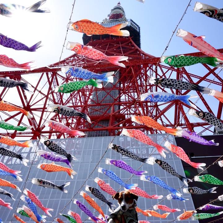 Fce4e703 20cb 4ec3 8cda b3d906a21ac4 1525074581496