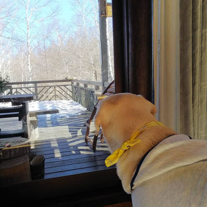 Fce50e1d 8e41 4c7c add9 37ad18156941 1514863793424