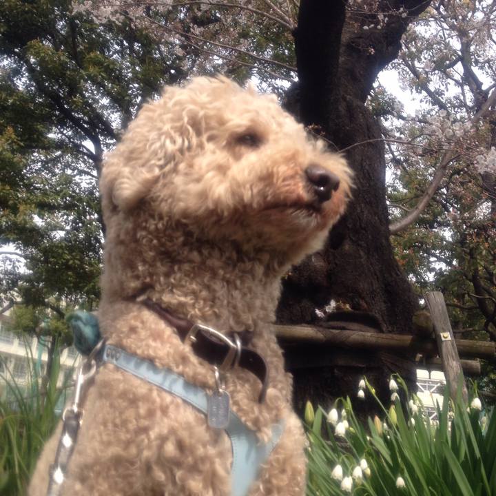 Fce519df a2c7 4dfd 8b66 d356ce87f08c 1553853974221