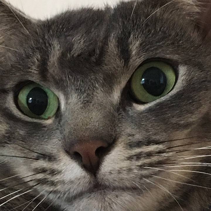 Fce5235c 9e07 4aea 97e1 44e719ee4a11 1574484421968