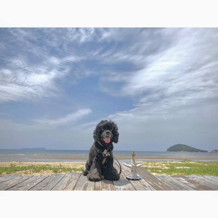 Fce554c3 4528 435f a4c9 75a7ceb0def8 1621955284323