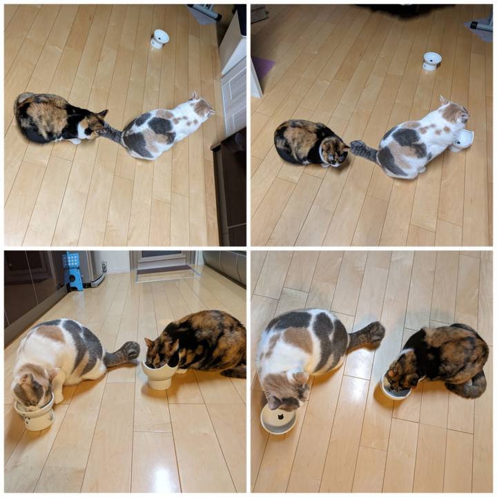 Fce56387 e685 4d89 93ef 5bac0c1e8989 1704335802442