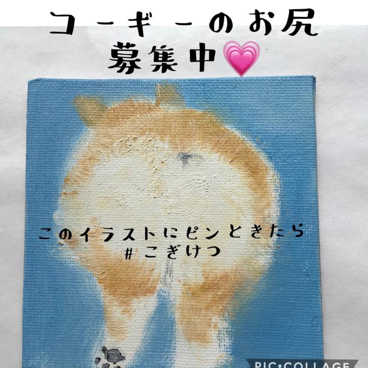 Fce56568 2951 4c12 9e14 43dd567f412b 1587014867118