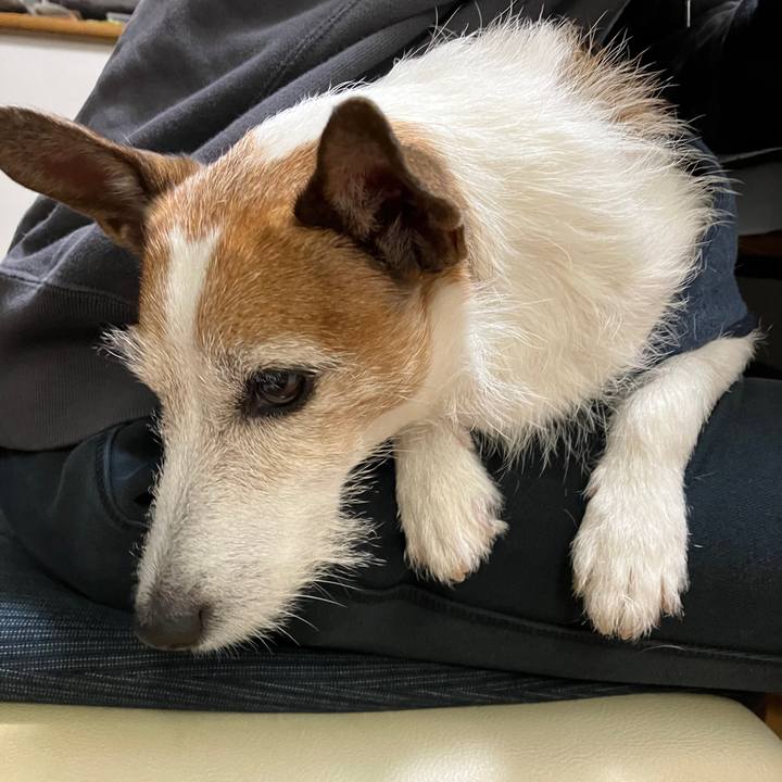 Fce65970 e619 4ca4 8da4 e606f9c43945 1670541869672