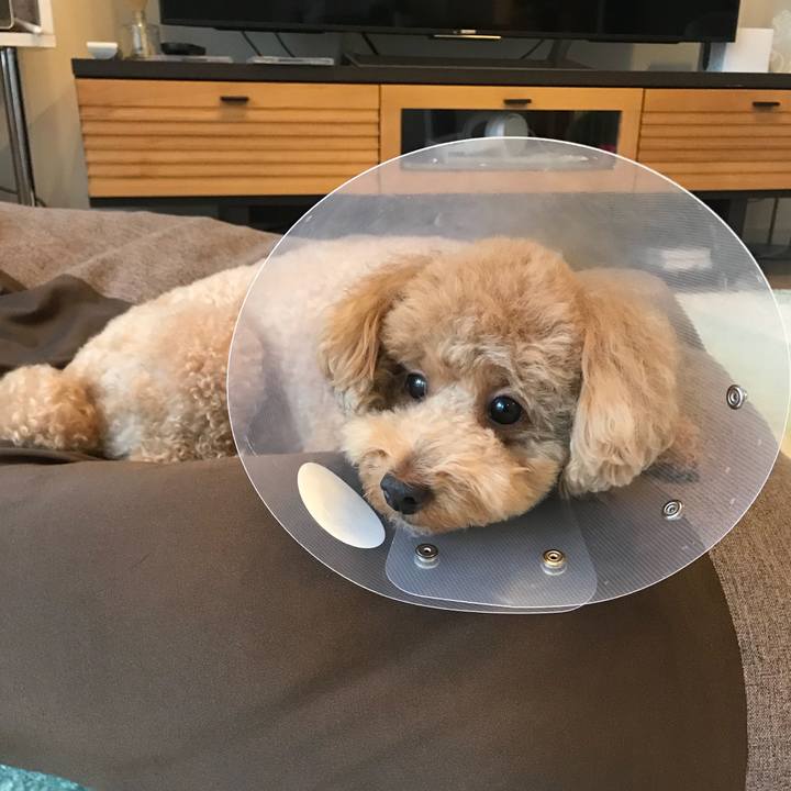 Fce67102 d276 4ad0 87b6 1c960b960472 1530694698437