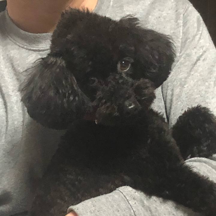 Fce6733c e6e3 44b5 87d8 0bb76503fbd1 1583638913326