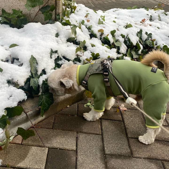 Fce6f729 1625 4acf 99fc bb12f32f82f6 1770536583558