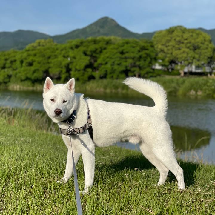 Fce70f06 81f2 439c b994 f6f8d5b0fde5 1653774877439