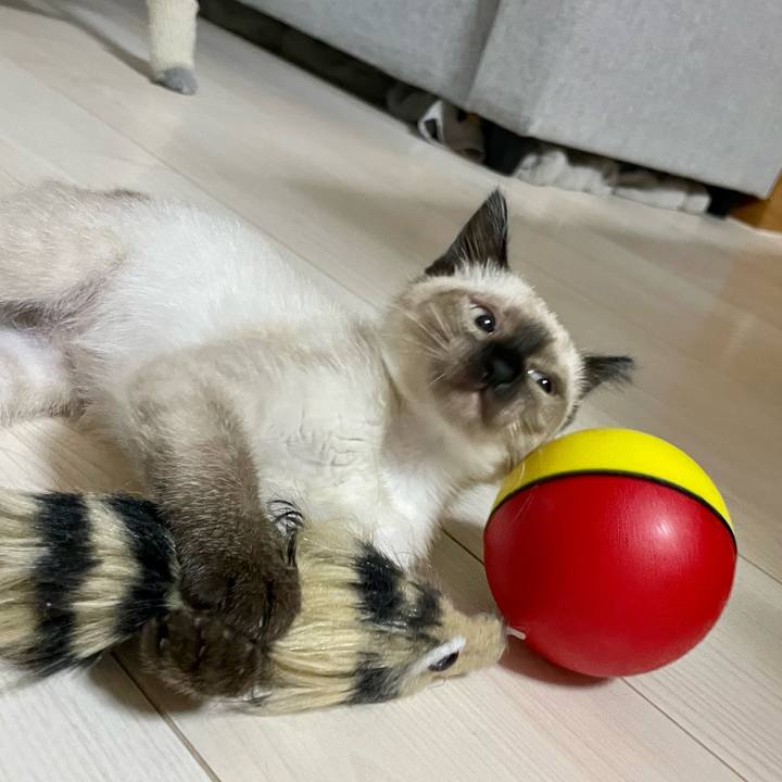 Fce72471 129d 45d1 a481 df8d5b835e4f 1689281288081