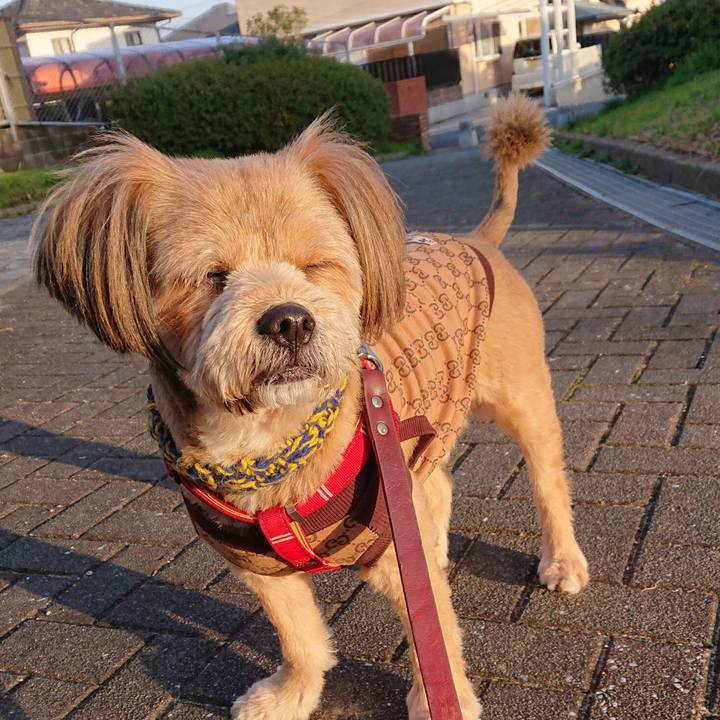 Fce7394f ce68 4349 b4bd f815ff2d35b3 1579564507222