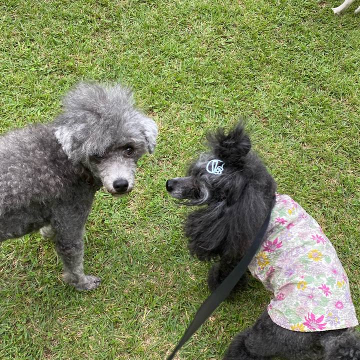 Fce743de 55ba 419e a47d 91bfec1830f2 1759280407775