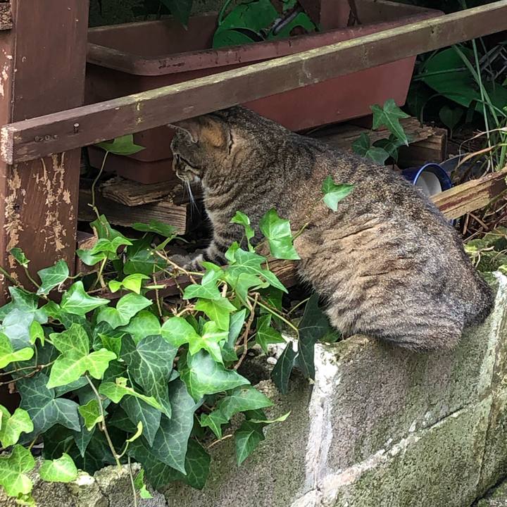 Fce746ee 2912 4b70 8c0a c6efb9255be0 1564541206595