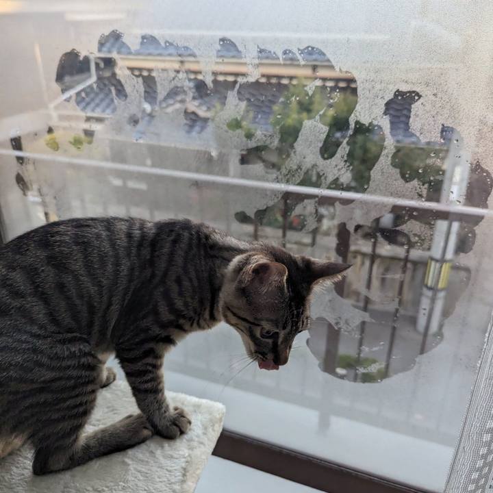 Fce74e43 f078 42ef a75e baef94df3712 1706588355786