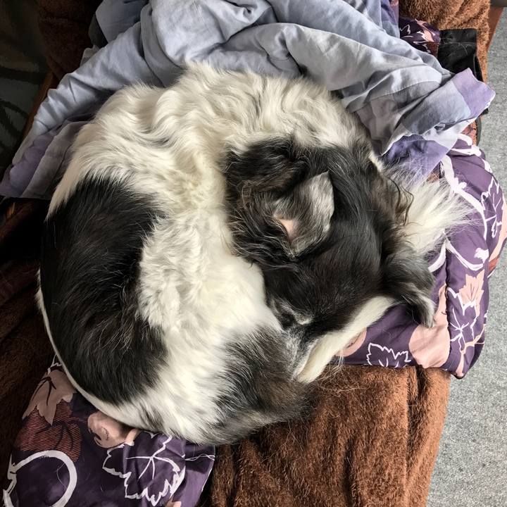 Fce76647 99f0 411a acb5 d654b0c8294d 1547099867861