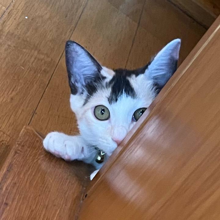 Fce76b8d 17e4 41f9 978f e99674ccfea8 1660264386736