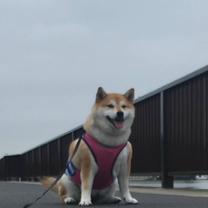 Fce7c139 a1d6 48ab 8415 1db4f76e7f50 1570762069618