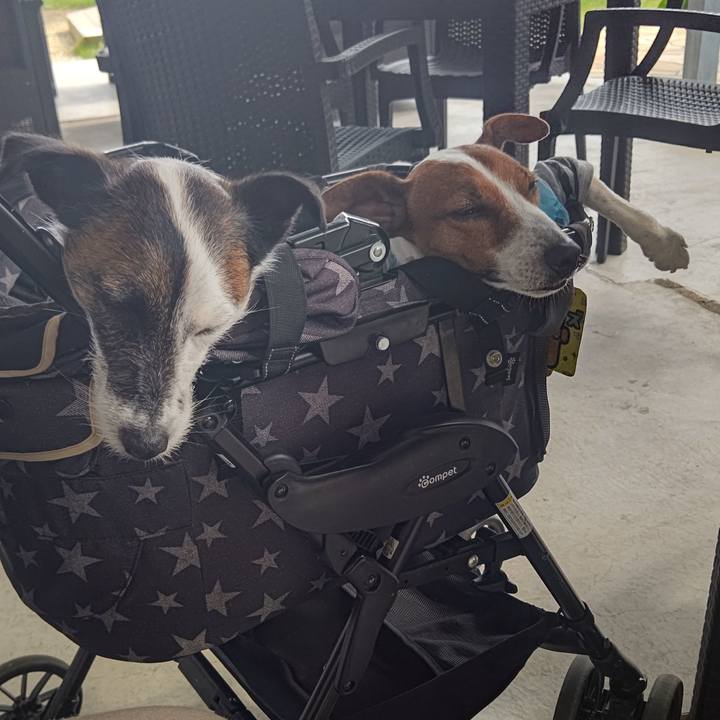 Fce7d3c1 8ba0 4f13 a041 99b305adba4d 1660282645533