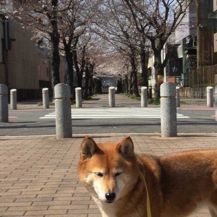 Fce7fc28 efa5 4bb0 adc4 81747472fc8f 1553651035458