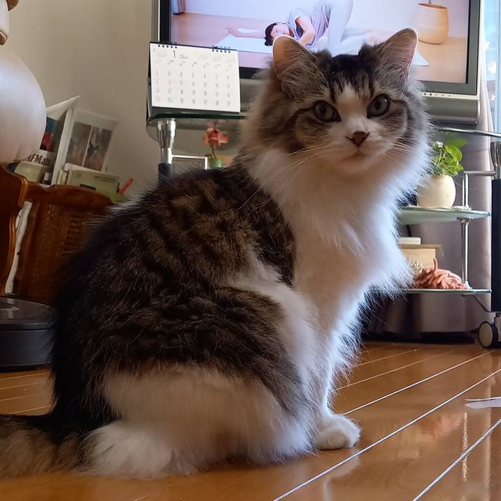 Fce80593 03dd 4342 9284 b900ca055d58 1641682946491