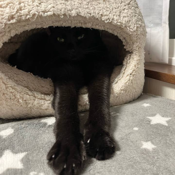 Fce81035 6a7f 439e 94b3 3a268873249e 1708351272445