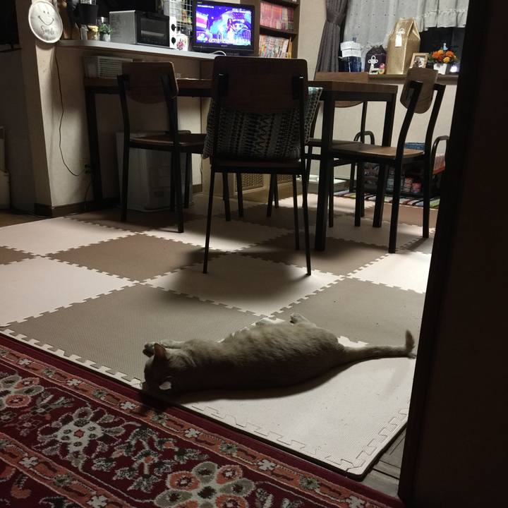 Fce84100 1c60 484d bf94 612b74e3fcf0 1568200889200