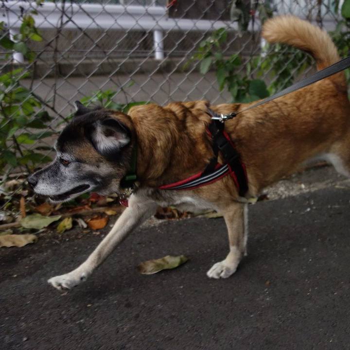 Fce847c2 bc2f 47aa b165 afd68f18dc40 1511070683082