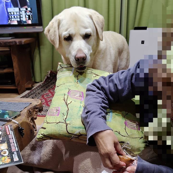 Fce85088 530d 478f afff 2d517bf8a438 1730200140619