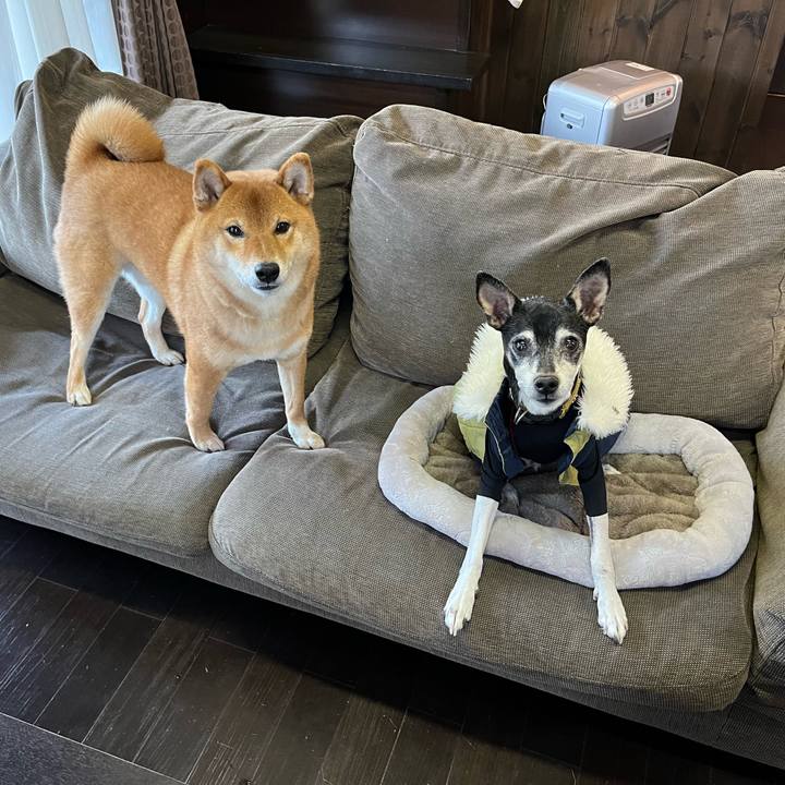 Fce853b9 e745 4834 9798 a382de917b2d 1639811360488