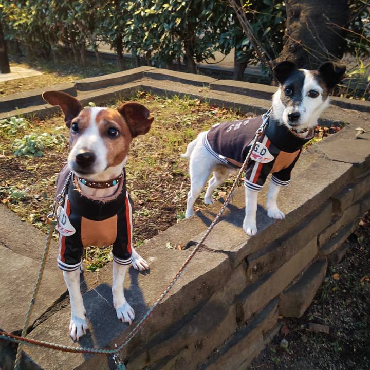 Fce8778f 1b0e 4790 a33b ea8b81a55fba 1735079118901