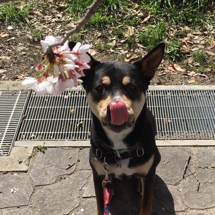 Fce896ac 947a 4993 a86d 658e89c496b1 1522462943249