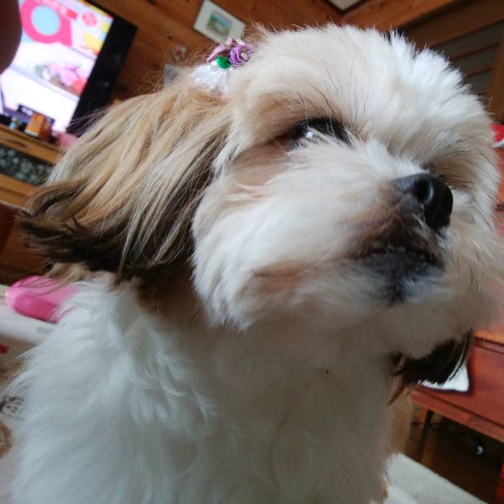 Fce8a255 5137 4fc5 8e8c f5724746ed05 1521262722714