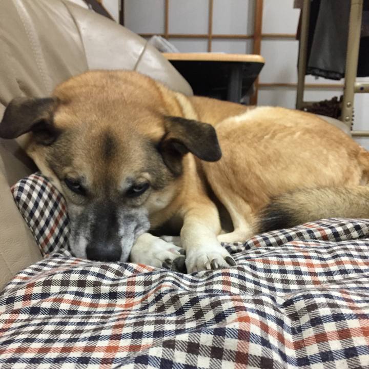 Fce8df46 b3c3 4cf1 ba0f e62b30312f68 1517393225982