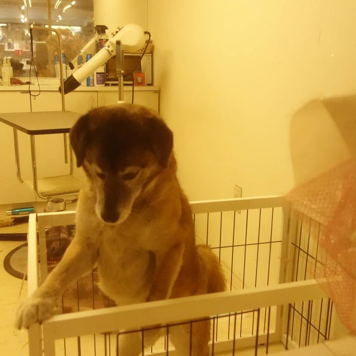 Fce8e216 50a0 4337 9508 54ffab18b885 1556518359406