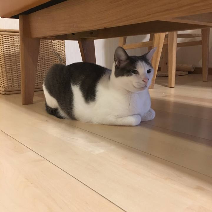 Fce8f5e7 b550 4690 ae0a 44a1769941dd 1546299870256