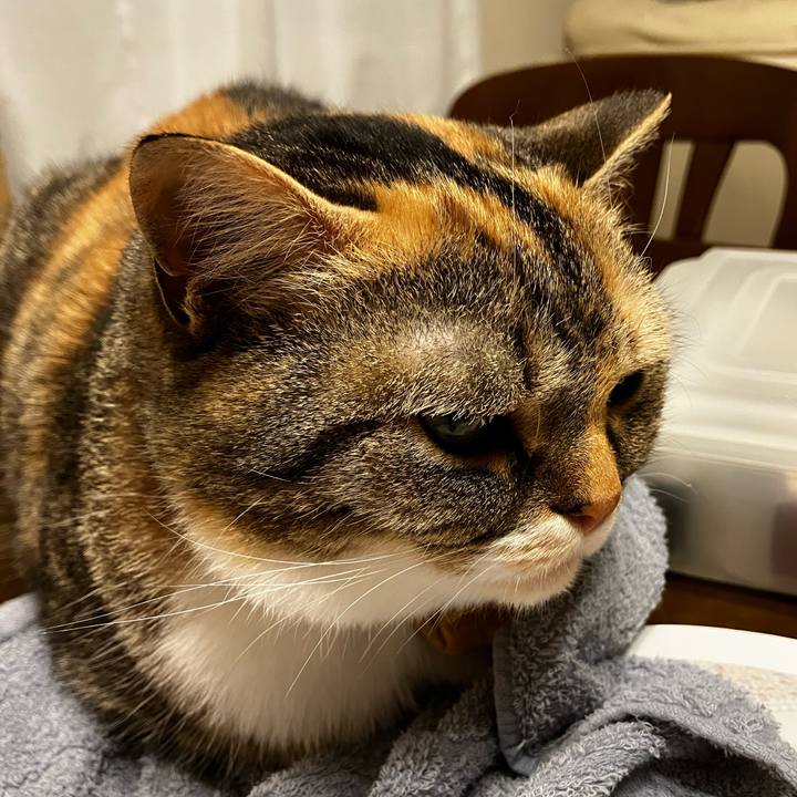 Fce90b2d cc7f 464d 952f d303d7e1e9aa 1774853037896