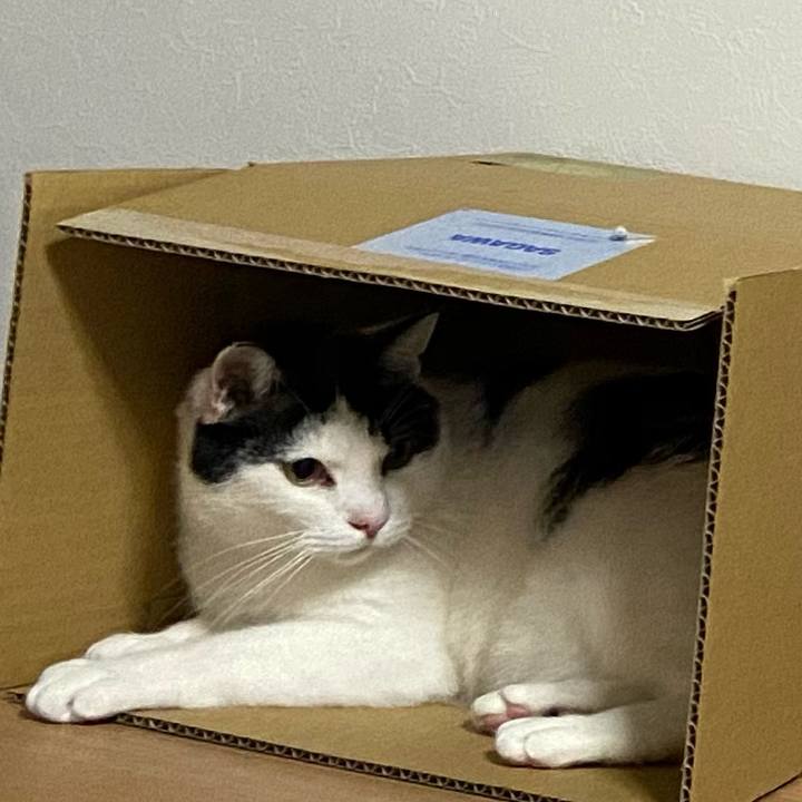 Fce92e40 c33e 4147 954b 7951536230bc 1583497371419