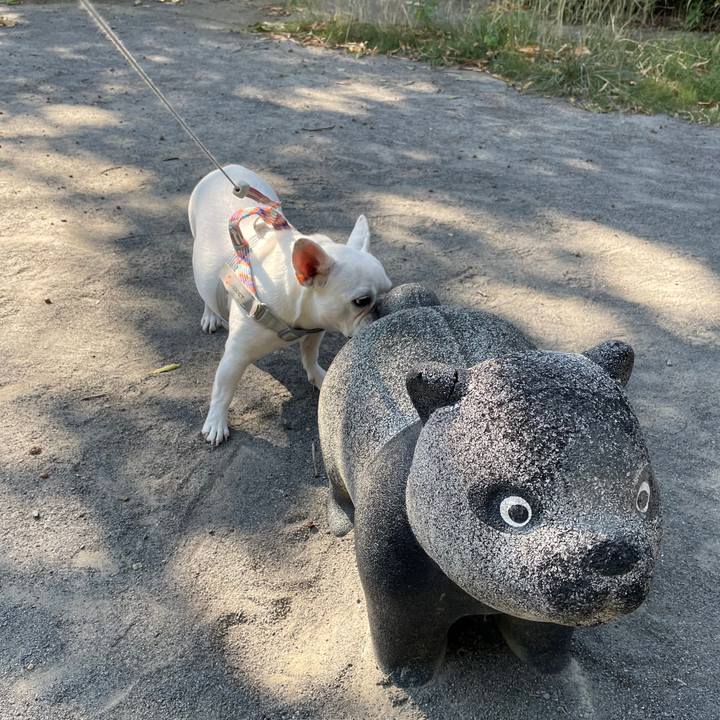 Fce9ca02 109c 4546 9000 b79c18fd67de 1756678566972