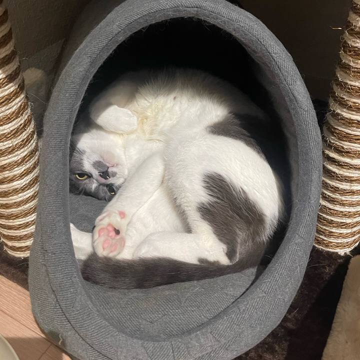 Fcea130b d623 4066 a061 6fb5f769cb52 1678967485088