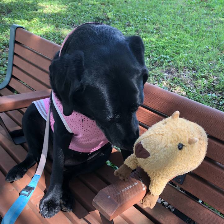 Fcea5c90 1de2 4dac 8eee 68ec3cc7371a 1537235317257