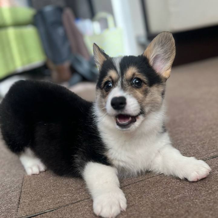 Fcea60dd 00a2 40d1 8853 094c9c42b20c 1768353170646