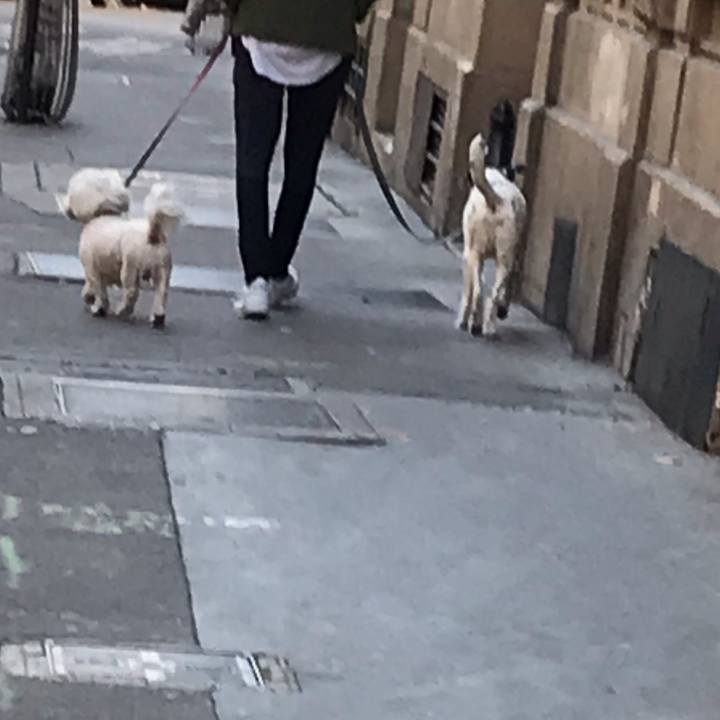 Fcea64ad fe22 43f3 ba55 724727799323 1568975621655