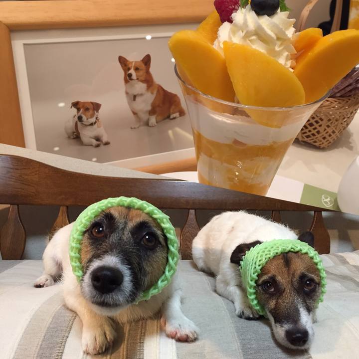 Fcea7d21 63bc 4c65 842c 330bbd5dcb2c 1563098170104