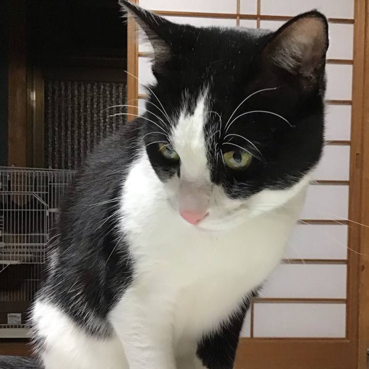 Fcea9a02 4b14 43b8 90e9 74d4fa103ee3 1702551601854